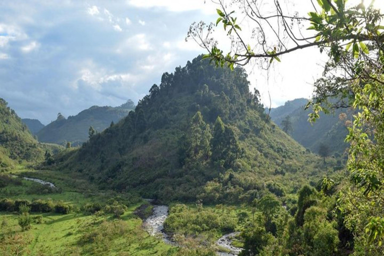 Från Nairobi: 5-dagars Samburu, Aberdares och Lake Nakuru ...