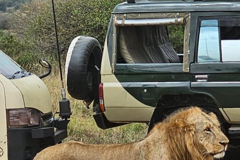 Halfdaagse tour naar Nairobi National Park met ophaalservice vanaf je hotel