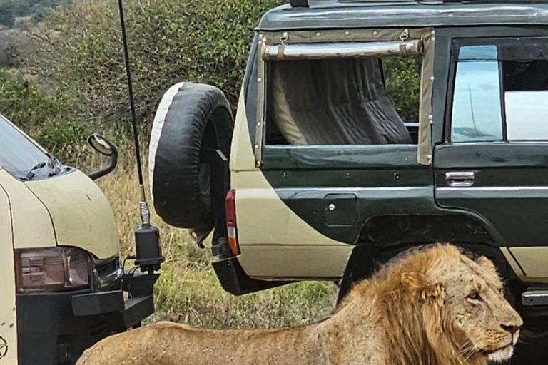 Halvdagsutflykt till Nairobis nationalpark med upphämtning från hotell