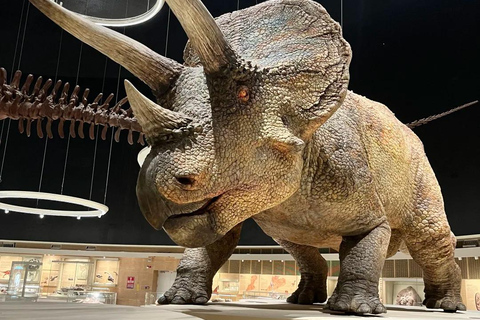 Shenzhen: Natural History Museum Landmark Priority Pass