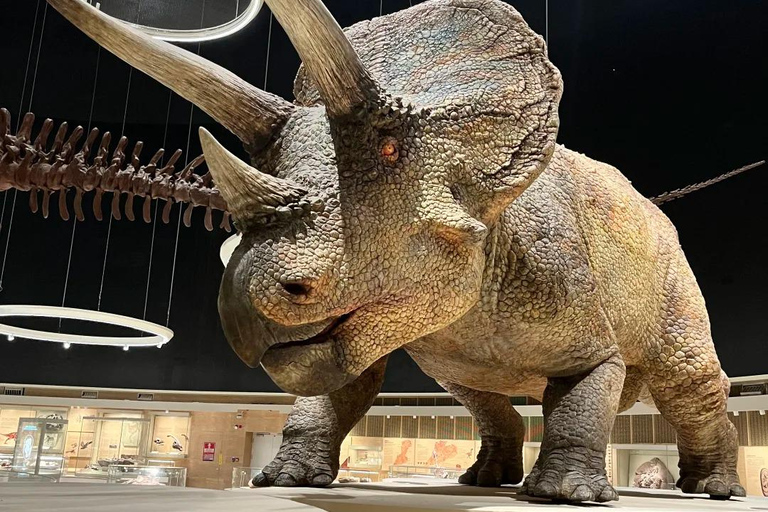 Shenzhen: Natural History Museum Landmark Priority Pass