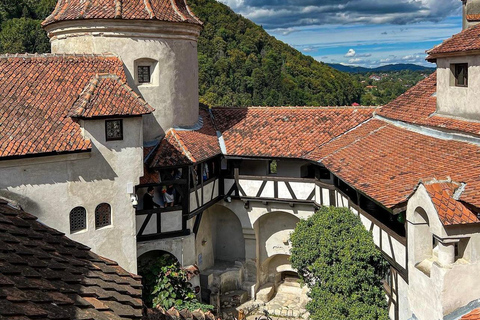 Sibiu : Excursion au château de Dracula et au Dino Park