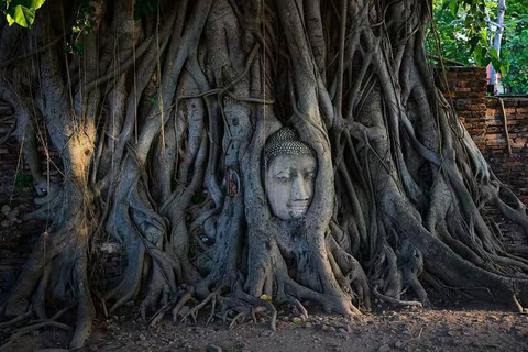 Ayutthaya: The Rise and Fall of the Lost Kingdom of Siam