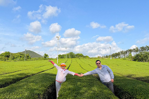 Jeju: UNESCO South & East Highlights 2 Days Combo Tour