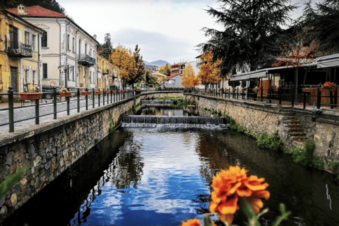 Kastoria: Private Lakes Tour to Pogradec, Ohrid & Bitola
