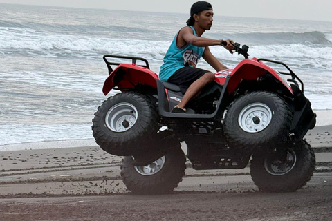 Bali: ATV or Buggy Adventure with Beach and Rice Fields Meeting point option
