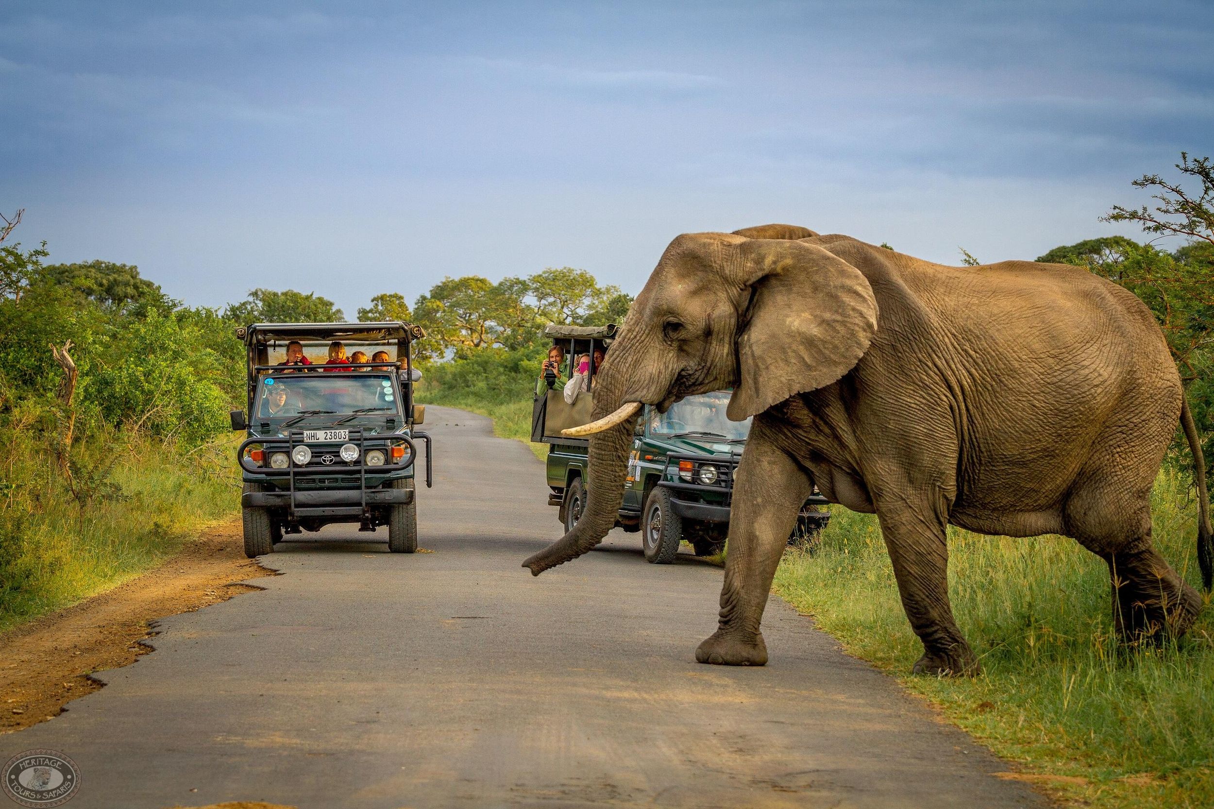 Durban:3 Tage Hluhluwe-Imfolozi Park, St. Lucia, iSimangaliso