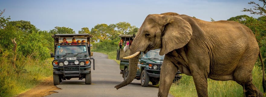 Durban : 3 jours Parc Hluhluwe-Imfolozi, St Lucia, iSimangaliso