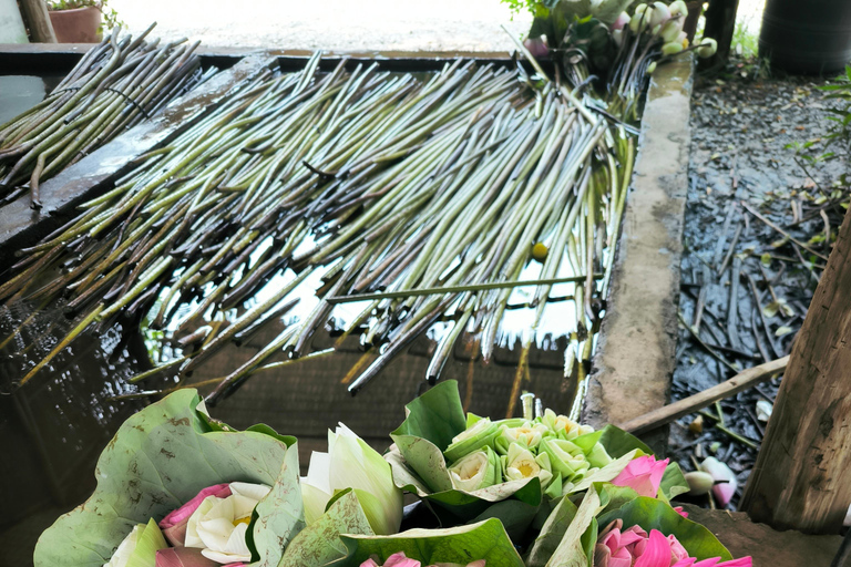 Siem Reap Lotus Silk Farm Tour with Pick Up downtown Siem Reap : Ferme de Soie de Lotus - Visite Guidée Francaise