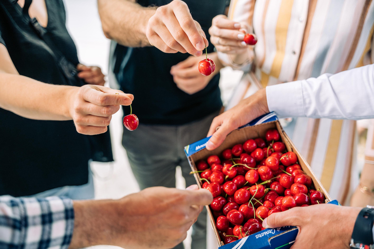 Ljubljana: Tour gastronómico em Ljubljana por Sigismundi, Comer &amp; Beber