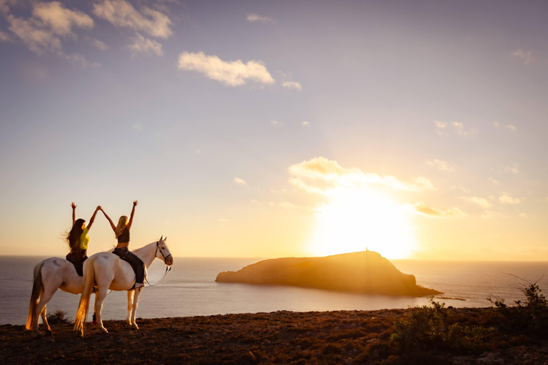 Isla de Porto Santo: Paseos a caballo180 min Aventura