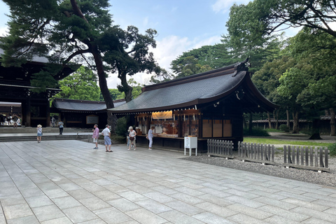 Tokyo : Visite guidée matinale avec guide anglophoneTokyo : Visite matinale