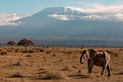 Arusha: 4-Day Ngorongoro, Tarangire, and Materuni Lodge Tour