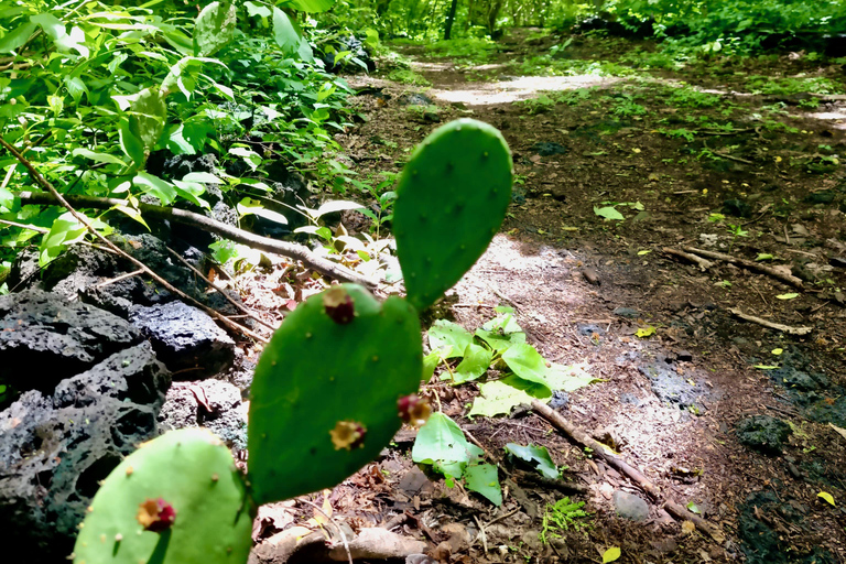 El Salvador: San Diego Volcano Crater Guided Hike