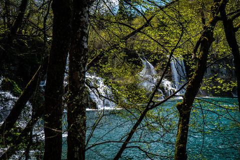 De Zagreb: Excursão de 1 dia ao Parque Nacional dos Lagos Plitvice