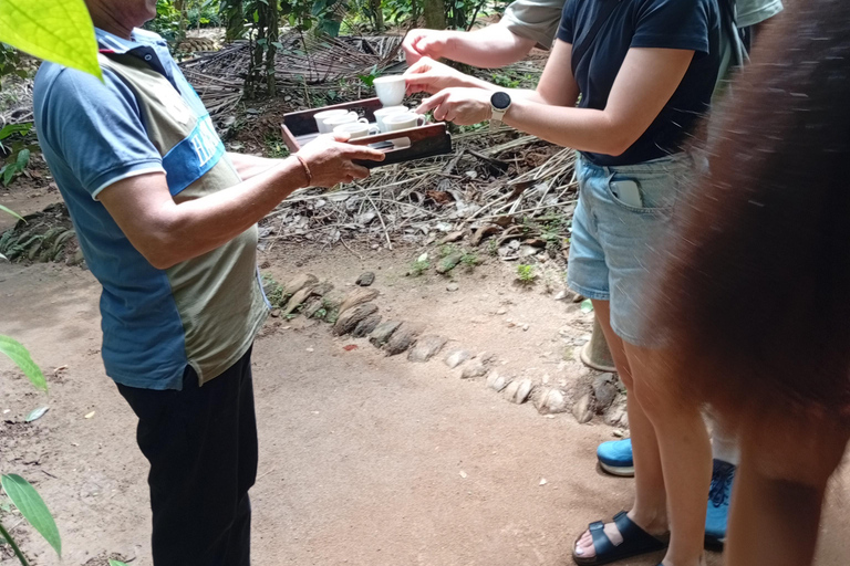 康提：香料园和手工艺人工作室嘟嘟车之旅