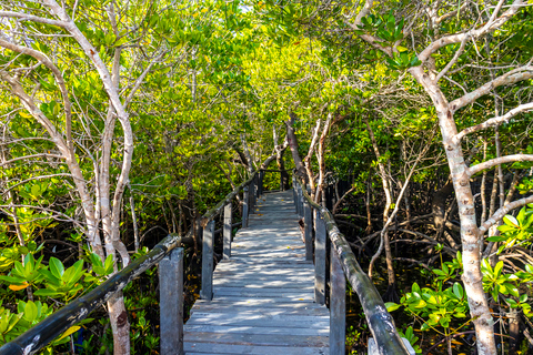 Exploring Nature's Treasures: A Private Day Trip in Diani Exploring Nature's Treasures: A Day Trip in Diani