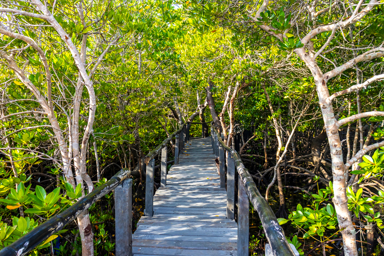 Exploring Nature's Treasures: A Private Day Trip in Diani Exploring Nature's Treasures: A Day Trip in Diani