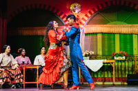 Siviglia, Flamenco al Palacio Andaluz con cena opzionale - Hizvo