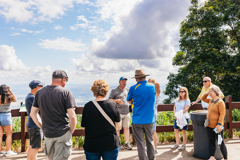 Tagestour ab Brisbane: Regenwälder & Glühwürmchenhöhle