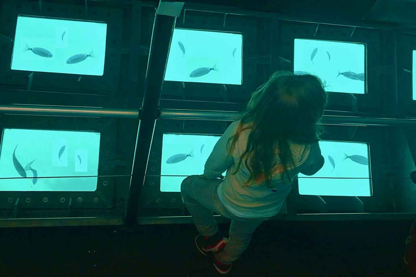 GRAND TOUR SITES CLASSÉS Vision sous-marine,baignade,boisson