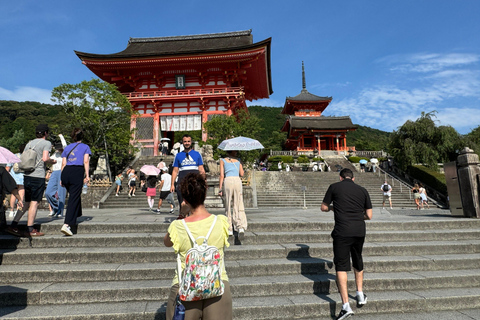 Kyoto: Gion Highlights & Hidden Treasures Guided Tour Group Tour