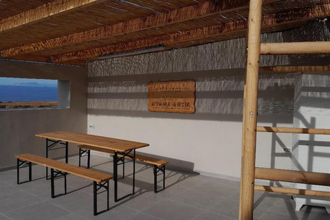 圣托里尼：有机农场私人农业教育之旅圣托里尼岛：私人农业教育参观有机农场