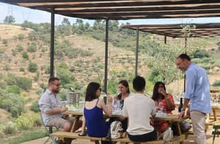 Porto: HALBTAGESTOUR INS DOURO-TAL