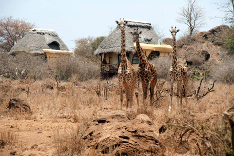 Nairobi: 4-Day Amboseli National Park Safari with Flights