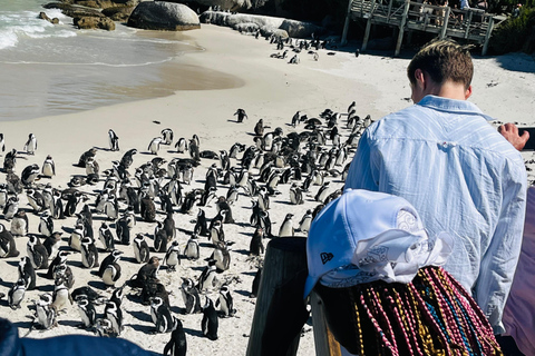 Robben Island, Penguins & Cape of Good Hope Adventure