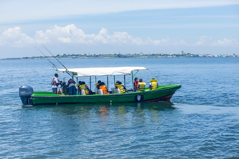 Entebbe: Trekking con gli scimpanzé sull&#039;isola di Ngamba