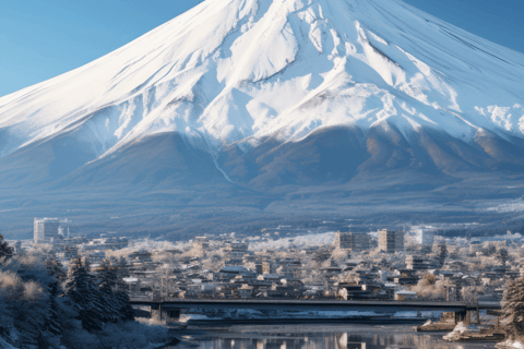 Tokyo: Mount Fuji And Hakone Private Tour Full Customizable