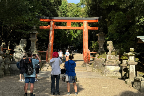 Nara : Visite guidée à pied avec le Grand Bouddha et les daims(5h)