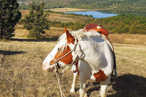 Sofia: Horse riding through the nearest paradise to Sofia