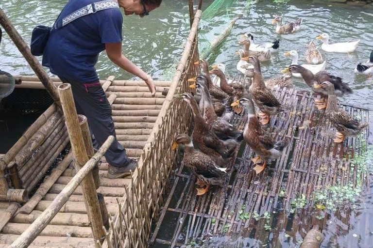 Pu Luong: Water Wheels, Buffalo & Village Life Half-day tour