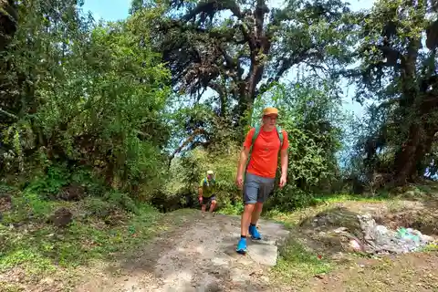 Kathmandu: Shivapuri Day Hike with Lunch
