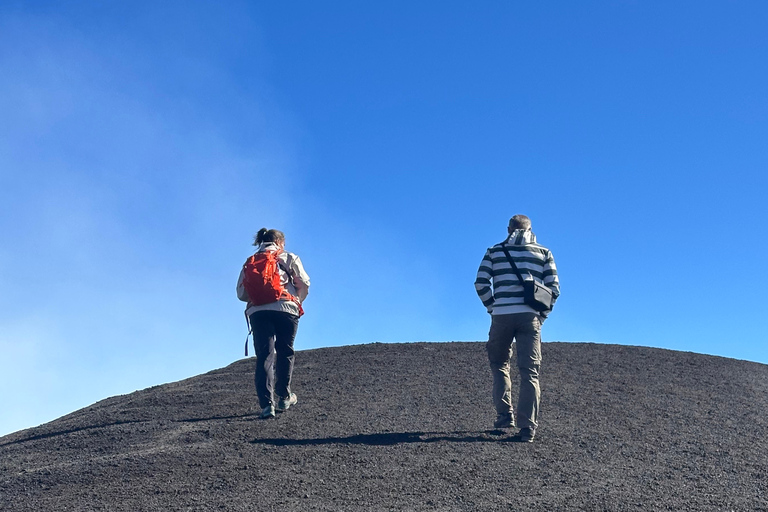 Etna + Wine Tasting Experience in a Winery and Lunch included Etna + Wine Tasting Experience in a Winery with Lunch included