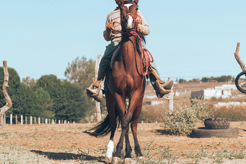 Ronda: Countryside Ride & Wine Experience