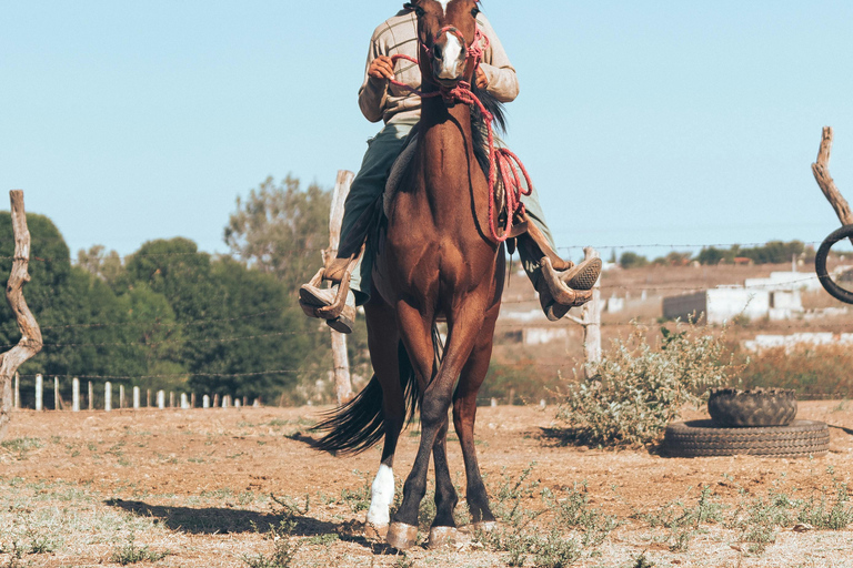 Ronda: Countryside Ride & Wine Experience
