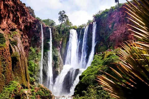 Marrakech: excursion ouzoud waterfall