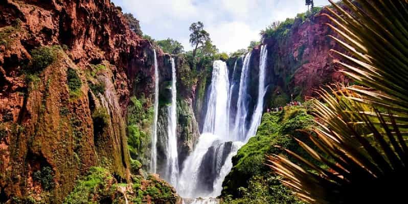 Marrakech : excursion cascade d'ouzoud - cascade