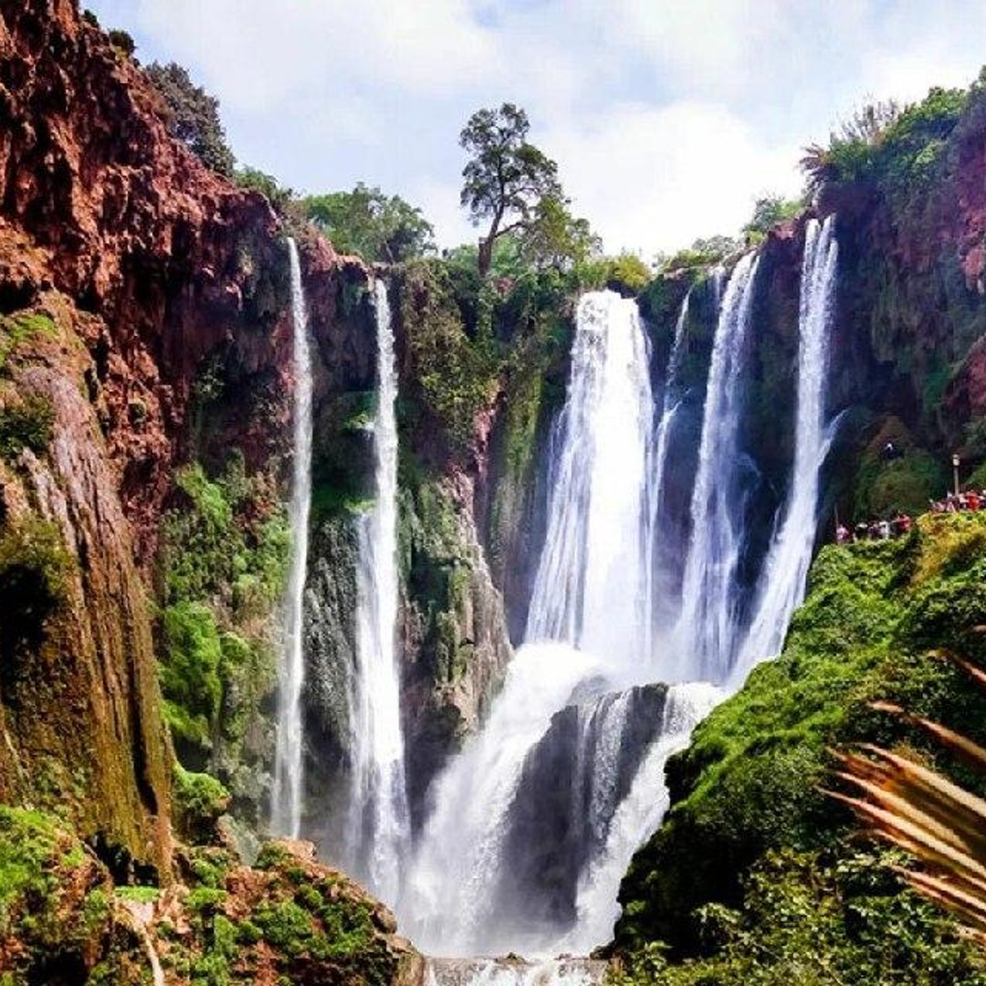 Marrakech : excursion cascade d'ouzoud