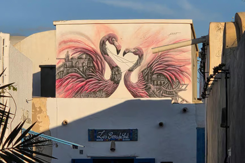 Premium 3-Day Package: Djerba Tour, Pirate Day & Desert Day