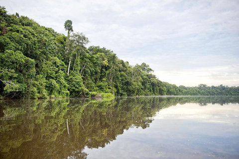 Puerto Maldonado: 4-dagars äventyr i Amazonas regnskog