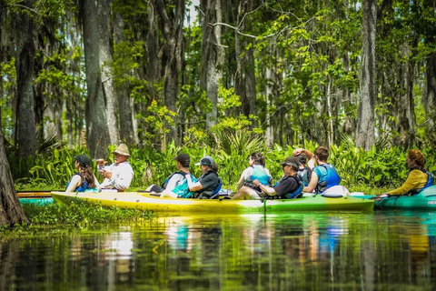 New Orleans: Manchac Magic Kayak Swamp Tour Kayak Swamp Tour without Transportation