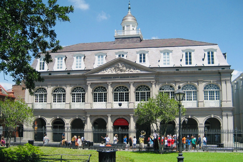 New Orleans: tour combinato Airboat Swamp &amp; City e KatrinaTour combinato piccolo idroscivolante, città e Katrina