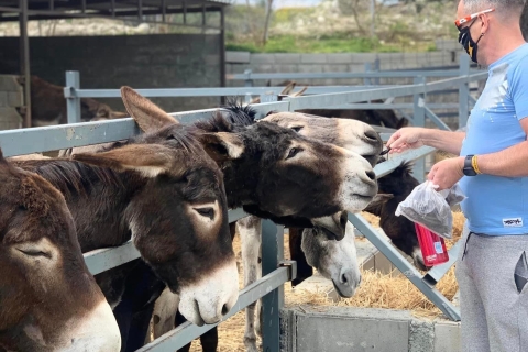 Ayia Napa, Protaras, Larnaca: Donkeys and Traditions Pickup from Ayia Napa, Protaras, Larnaca