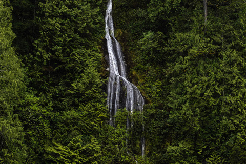 Campbell River: Spring Bear Watching & Waterfalls Boat Tour