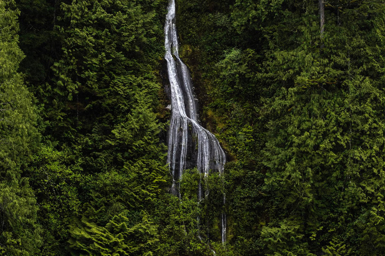 Campbell River: Spring Bear Watching & Waterfalls Boat Tour