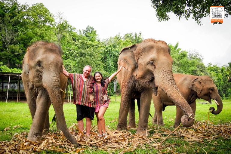 Chiang Mai Elephant Jungle Sanctuary &Mama Noi Cooking Class Sanctuary + Cooking Class in Air-Conditioned Room